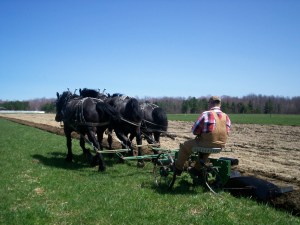 Spring Plowing