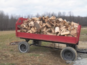 Load of wood for Josh