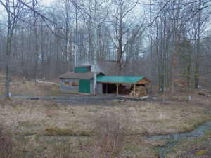 Making Maple Syrup 2012