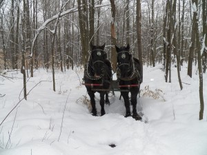 Resting, but ready to go