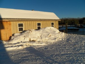 Up past the windows already