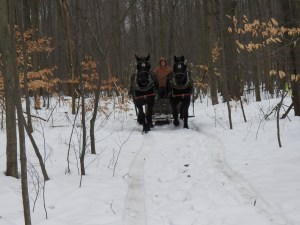 Nice Day Hoss, Knight and Jake