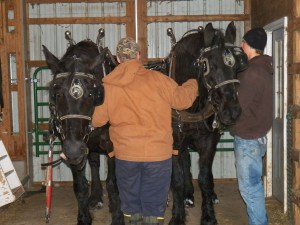 Jake passing on knowledge