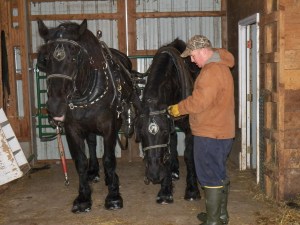 Jake unharnesses Knight and Hoss