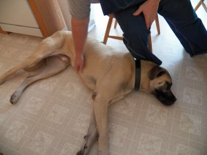 King and I waiting out the storm