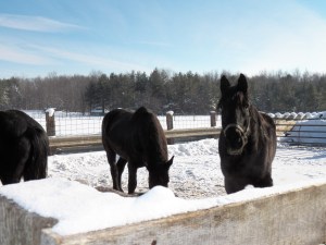Duke saying, "Don't you feel good?"