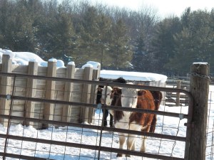 The girls wait for dinner