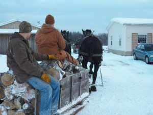 Hoss and Knight bring another load of wood out