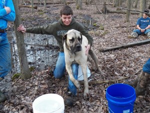 Ben and King taking a break
