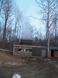 Steam rises at Riceland Meadows