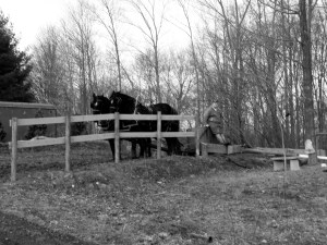 Last load of the day