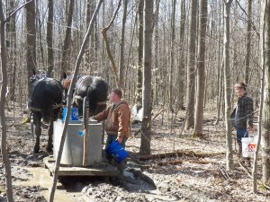 Jake and the crew, navigating the mud