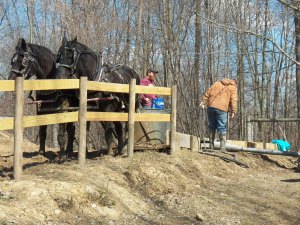 Yep...That's it for this year!