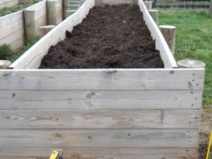 Getting the raised beds ready