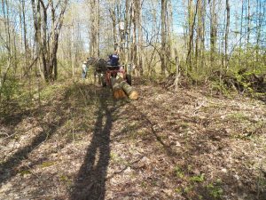 Barely a track can be seen