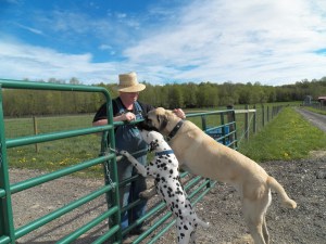 King and Ariel tell me Hello!