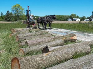 The horses and I take a break on the landing