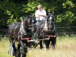 Jake checking his grip. Knight and Hoss mowing