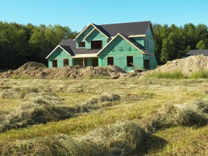 The new house going up