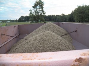 A year's worth of horse feed