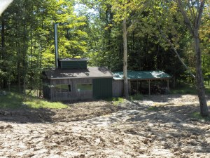 New Landscape at the Sugarhouse