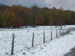 Snow adds to the beauty of Autumn