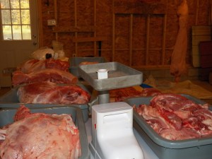 A portion of the Bounty