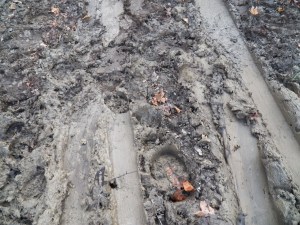 Tracks  from the wood gathering