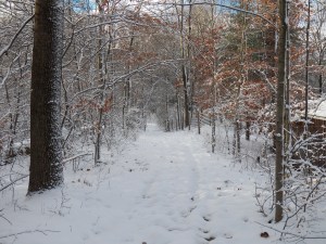 Snow covered sap road
