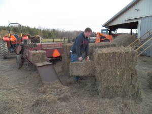 Baling hay with our coats on!