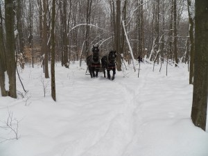 Dashing Through the Snow