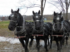 There is no way that three, is a crowd!