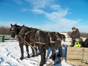 Knight says, "Hey , you coming?"