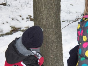 It's better after it has been boiled down!