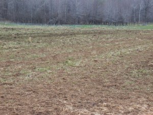 Compost all spread on our 2014 corn field