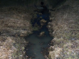 Muddy water in the stream