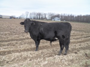 Headed to "Freezer Camp" soon