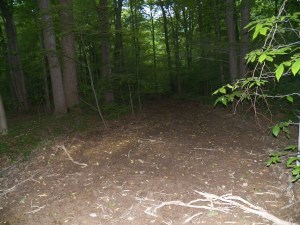 Ruts repaired, erosion minimized