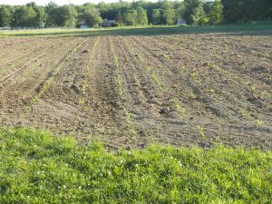 2014 off to a good start