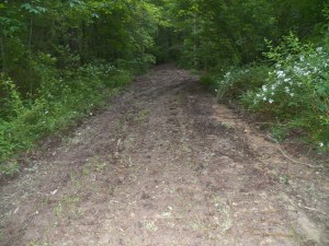 One last look at an old trouble spot