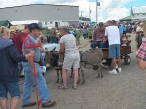 The little Ambassadors