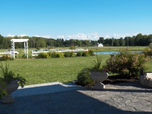 The backyard in bloom