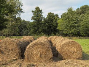 Finally ready for Winter