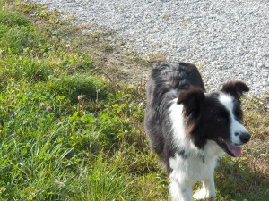 Even Cinch is Smiling