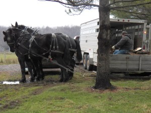 Knight says, "You talking to me?"
