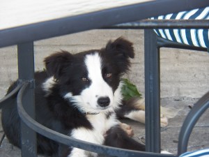 Max chills on a hot day