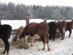 It just tastes better