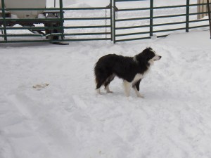 Max looks for some warm weather