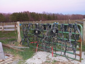 Cleaning off the sugar mud!