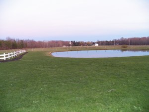 Nice to see the green again